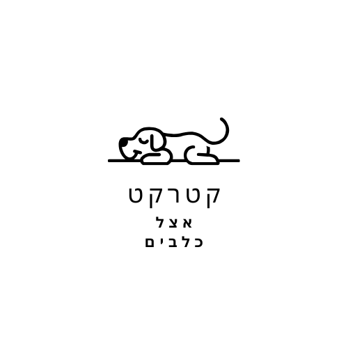 קטרקט כלבים