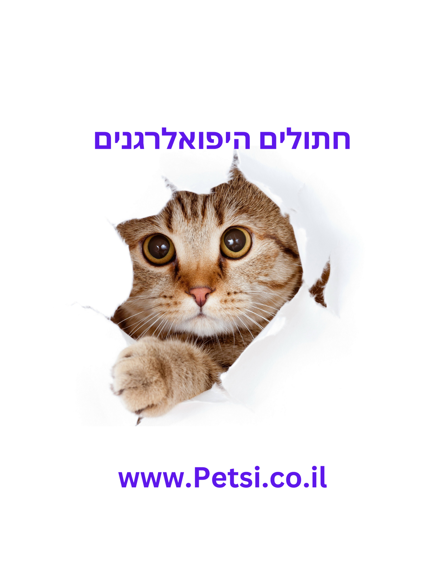 חתולים היפואלרגנים